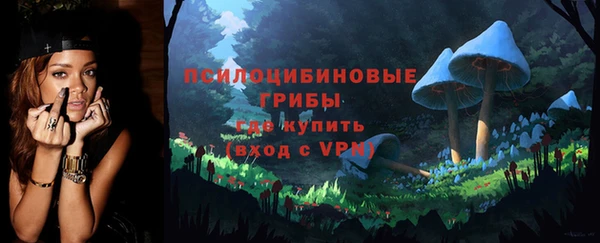 амф Ладушкин