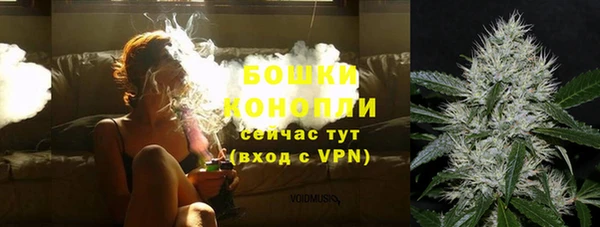 ГАЛЛЮЦИНОГЕННЫЕ ГРИБЫ Лагань