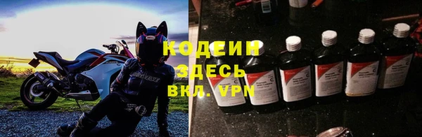 амф Ладушкин