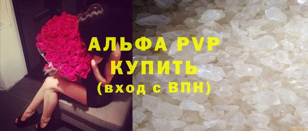 ГАЛЛЮЦИНОГЕННЫЕ ГРИБЫ Лагань