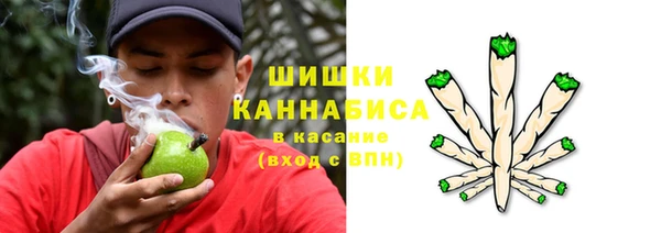 ПСИЛОЦИБИНОВЫЕ ГРИБЫ Лабытнанги