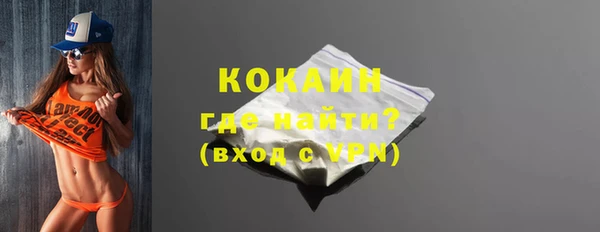 ГАЛЛЮЦИНОГЕННЫЕ ГРИБЫ Лагань