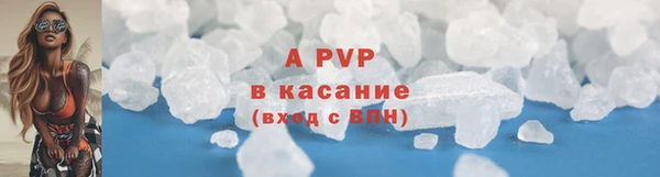 амф Ладушкин