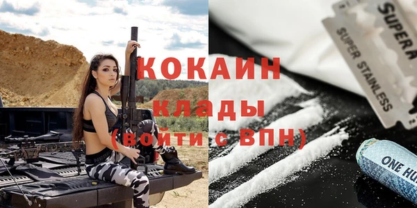 амф Ладушкин