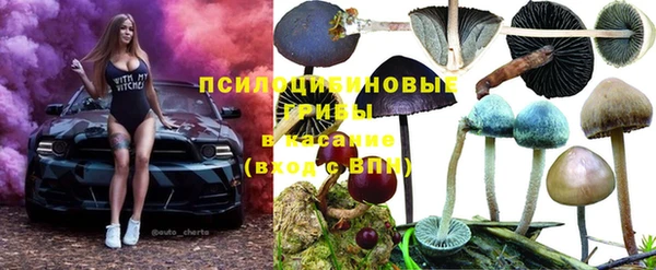 ПСИЛОЦИБИНОВЫЕ ГРИБЫ Лабытнанги