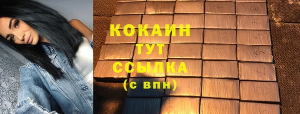 амф Ладушкин