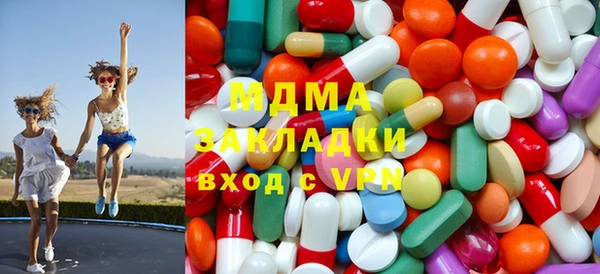 ГАЛЛЮЦИНОГЕННЫЕ ГРИБЫ Лагань