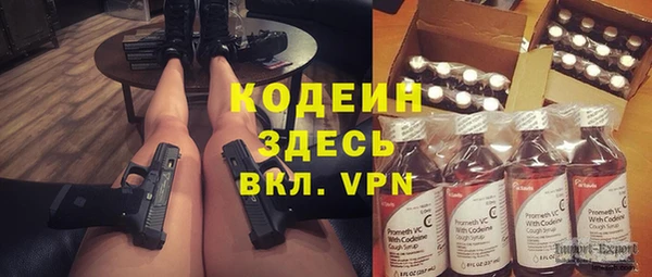 амф Ладушкин