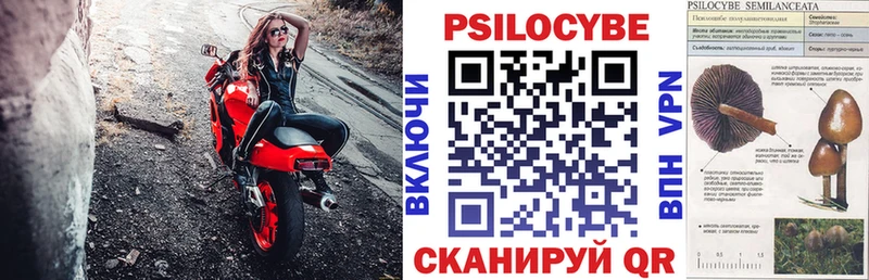 Купить где  Далматово  Галлюциногенные грибы ЛСД 